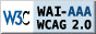 logo wcag